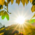 Alsace au printemps