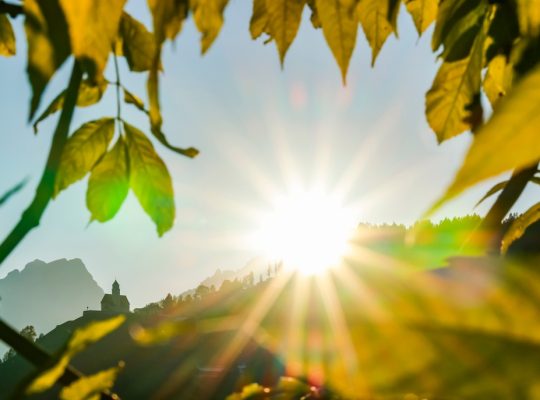 Alsace au printemps
