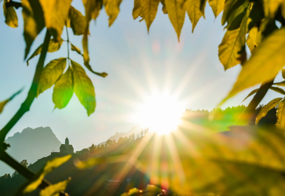 Alsace au printemps