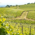 Alsace en été