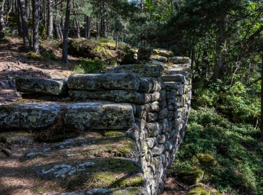 Mont Saint Odile en Alsace